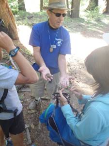 Phil showing us some Redwood pine cones where he collects seeds to plant each year