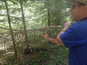 Phil using his pocket hedge clippers to cut away small tree branches crossing the trail