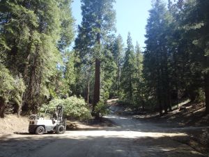 Old road to Grant's Grove before Hwy 180 was put in.  Now a fire access road. 