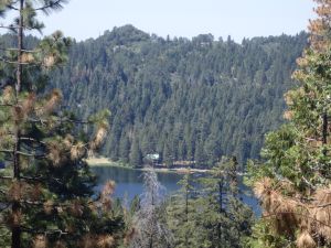 View of Lake Sequoia from the trail to Lion Meadow